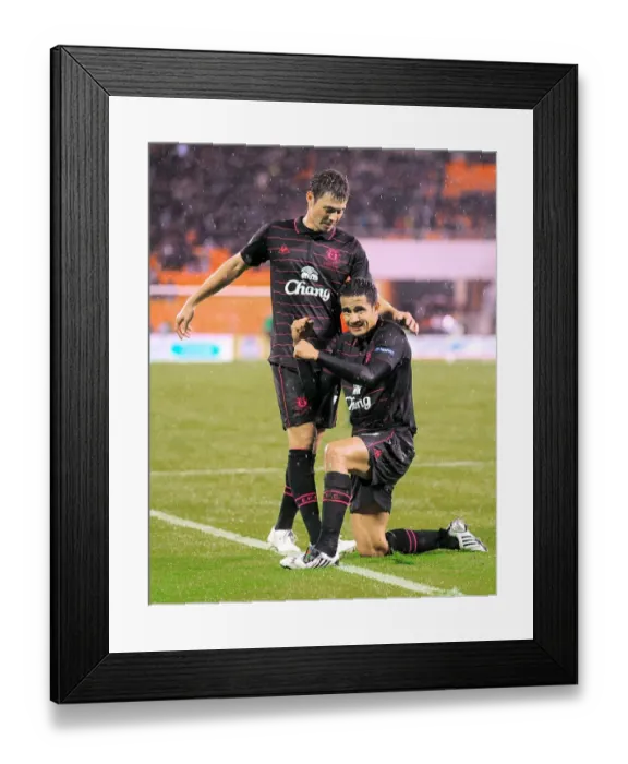 Framed Print : Soccer - UEFA Europa League - Group I - FC BATE Borisov v Everton - Dinamo Stadium Framed Print : Soccer - UEFA Europa League - Group I - FC BATE Borisov v Everton - Dinamo Stadium