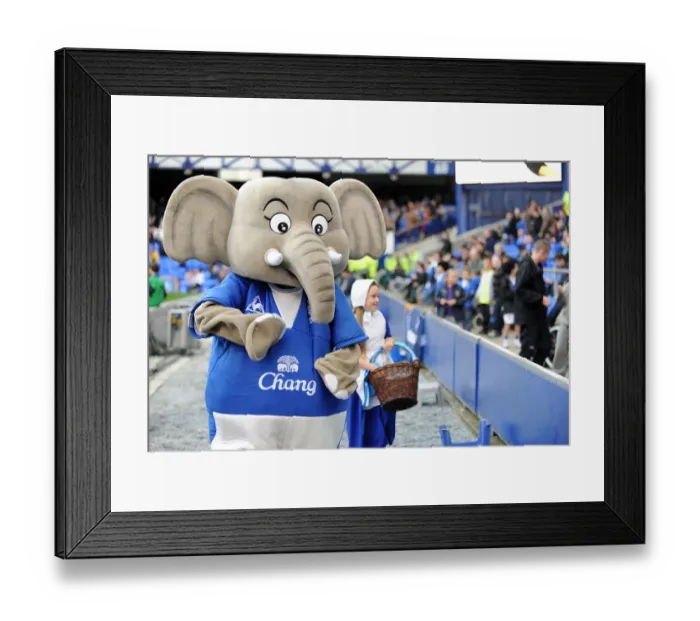 Framed Print : Changi the Elephant Roars: Everton vs Aston Villa at Goodison Park, Barclays Premier League Framed Print : Changi the Elephant Roars: Everton vs Aston Villa at Goodison Park, Barclays Premier League