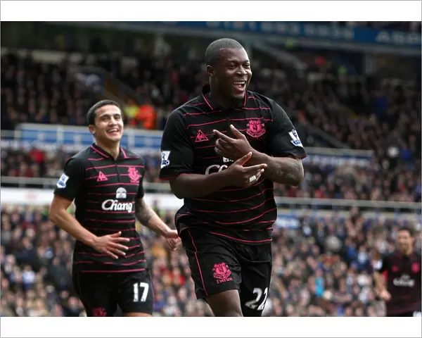 Yakubu Scores Everton's Second Goal: Birmingham City vs. Everton, Barclays Premier League