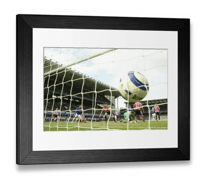 Framed Print : Everton's McFadden Scores: A Celebration of Victory Framed Print : Everton's McFadden Scores: A Celebration of Victory