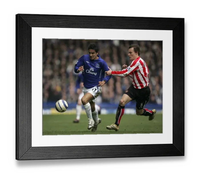 Framed Print : Tim Cahill Framed Print : Tim Cahill