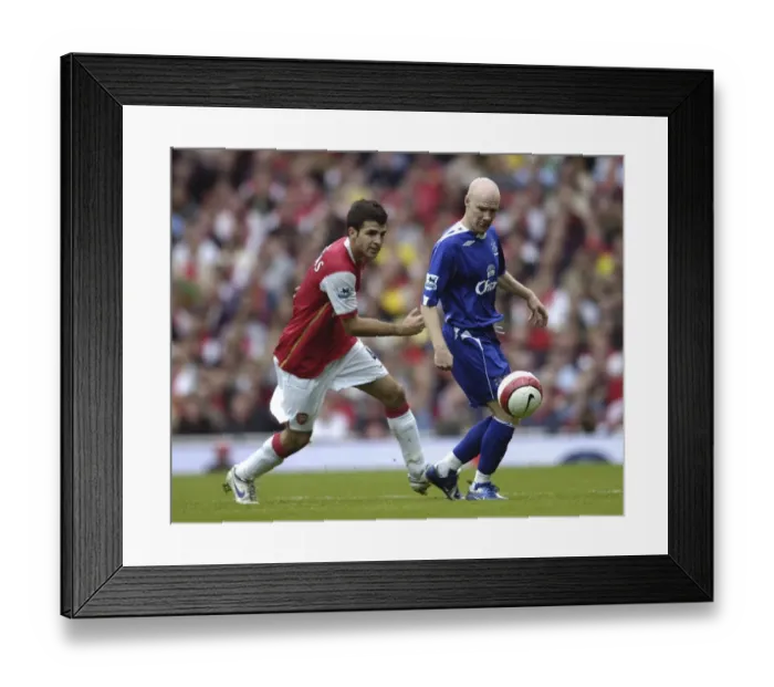 Framed Print : Arsenal v Everton Arsenals Francesc Fabregas and Evertons Andy Johnson Framed Print : Arsenal v Everton Arsenals Francesc Fabregas and Evertons Andy Johnson