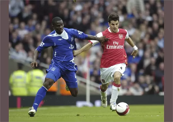 Arsenal v Everton Arsenals Francesc Fabregas and Evertons Joseph Yobo in action