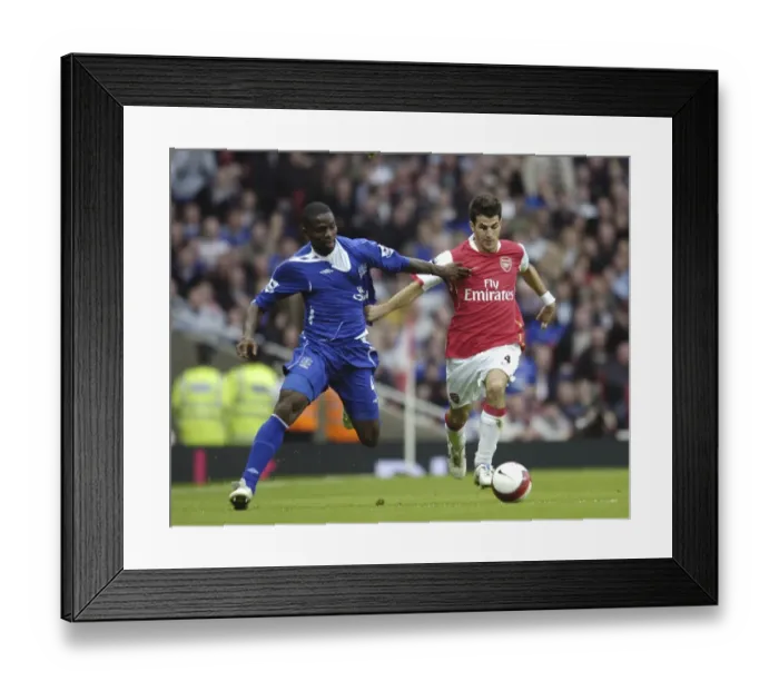 Framed Print : Arsenal v Everton Arsenals Francesc Fabregas and Evertons Joseph Yobo in action