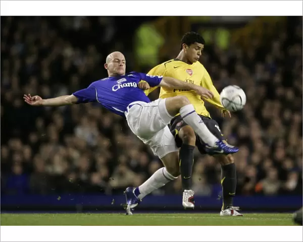 Everton v Arsenal Carling Cup Fourth Round Andy Johnson in action against Arsenals Denilson