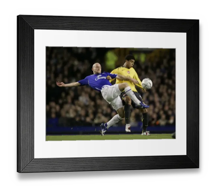 Framed Print : Everton v Arsenal Carling Cup Fourth Round Andy Johnson in action against Arsenals Denilson Framed Print : Everton v Arsenal Carling Cup Fourth Round Andy Johnson in action against Arsenals Denilson