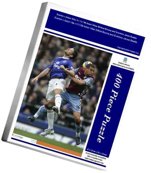 Everton v Aston Villa 11  /  11  /  06 Aston Villas Wilfred Bouma and Evertons James Beattie