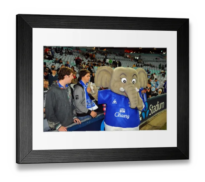 Framed Print : Everton FC's Chang the Elephant and Excited Fans at ANZ Stadium Framed Print : Everton FC's Chang the Elephant and Excited Fans at ANZ Stadium