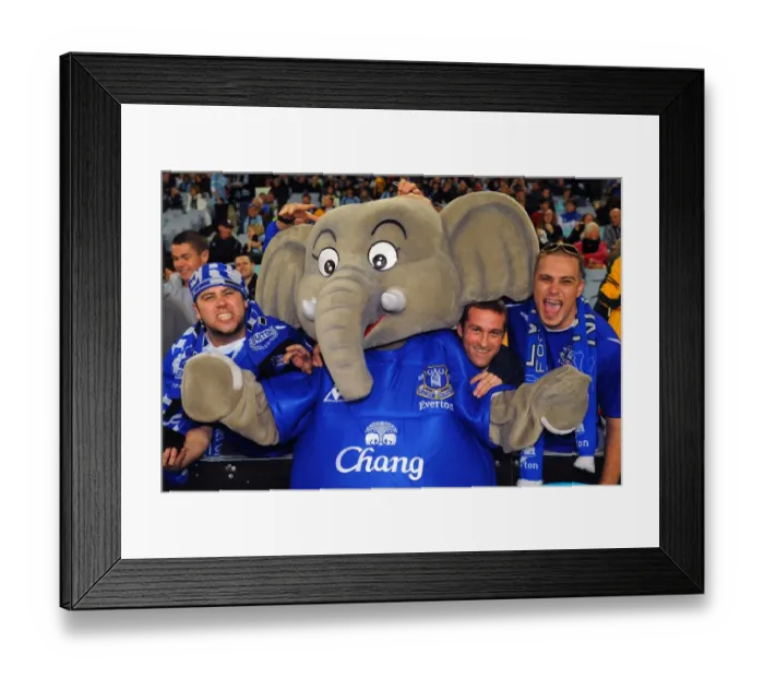 Framed Print : Soccer - Pre Season Friendly - Sydney FC v Everton - ANZ Stadium