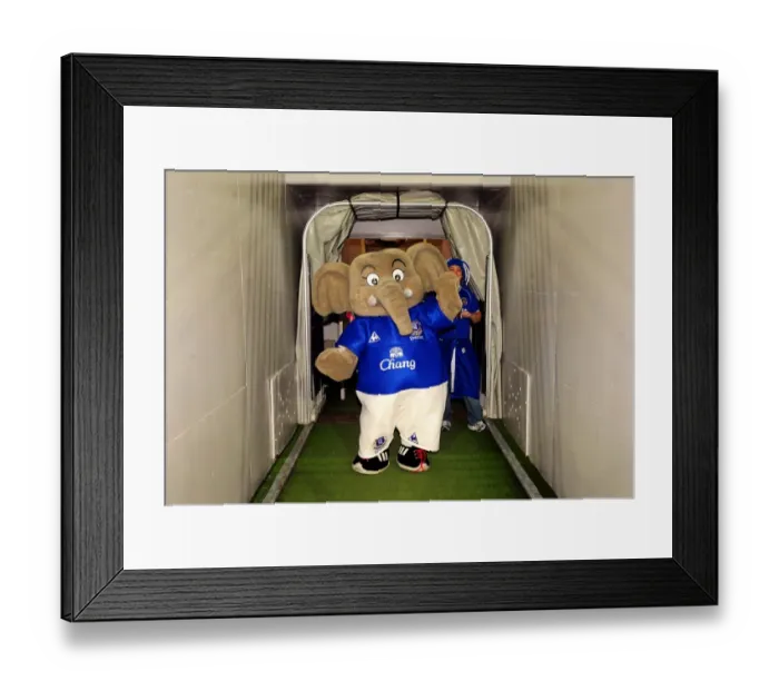 Framed Print : Everton FC vs Brisbane Roar: Chang the Elephant's Debut - Pre-Season Friendly at Suncorp Stadium Framed Print : Everton FC vs Brisbane Roar: Chang the Elephant's Debut - Pre-Season Friendly at Suncorp Stadium