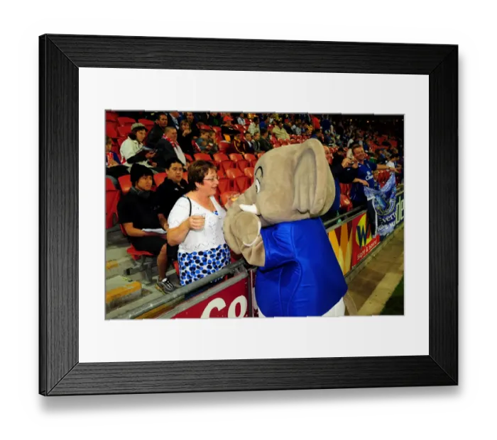 Framed Print : Everton's Chang the Elephant Welcomes Fans at Brisbane Roar's Suncorp Stadium: Pre-Season Friendly Framed Print : Everton's Chang the Elephant Welcomes Fans at Brisbane Roar's Suncorp Stadium: Pre-Season Friendly