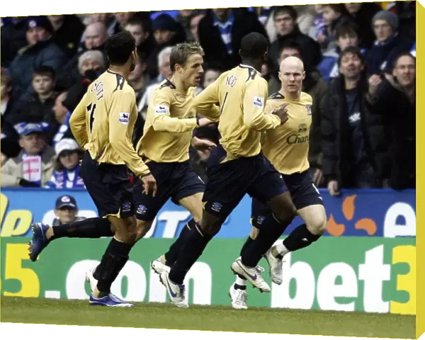 Reading v Everton Andy Johnson celebrates his goal for Everton with team mates