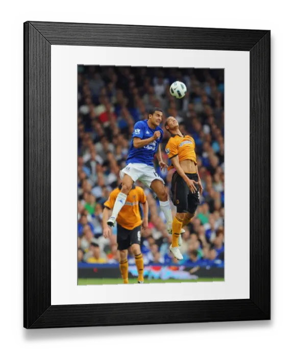 Framed Print : Intense Rivalry: Tim Cahill vs. Adiene Guedioura - Everton vs. Wolverhampton Wanderers Football Showdown Framed Print : Intense Rivalry: Tim Cahill vs. Adiene Guedioura - Everton vs. Wolverhampton Wanderers Football Showdown