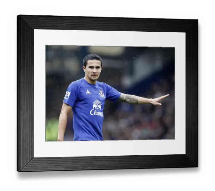 Framed Print : Tim Cahill's Thunderbolt: Everton's Historic Goal Against Manchester United at Goodison Park, Barclays Premier League Framed Print : Tim Cahill's Thunderbolt: Everton's Historic Goal Against Manchester United at Goodison Park, Barclays Premier League