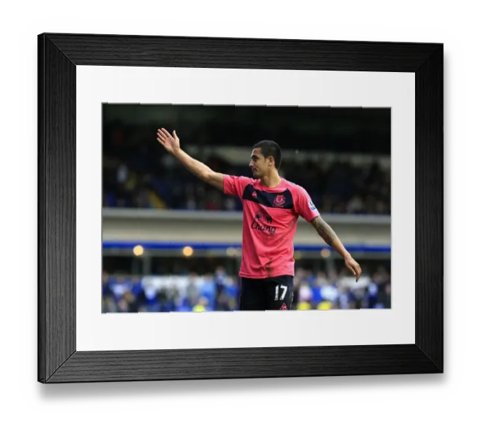 Framed Print : Tim Cahill's Double: Everton's Thrilling Victory Celebration at St. Andrews Stadium - Barclays Premier League vs Birmingham City Framed Print : Tim Cahill's Double: Everton's Thrilling Victory Celebration at St. Andrews Stadium - Barclays Premier League vs Birmingham City
