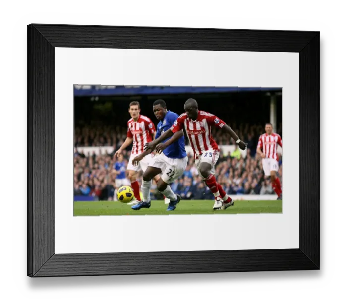 Framed Print : A Battle for the Ball: Yakubu vs Faye - Everton vs Stoke City (Barclays Premier League, Goodison Park, 30 October 2010) Framed Print : A Battle for the Ball: Yakubu vs Faye - Everton vs Stoke City (Barclays Premier League, Goodison Park, 30 October 2010)
