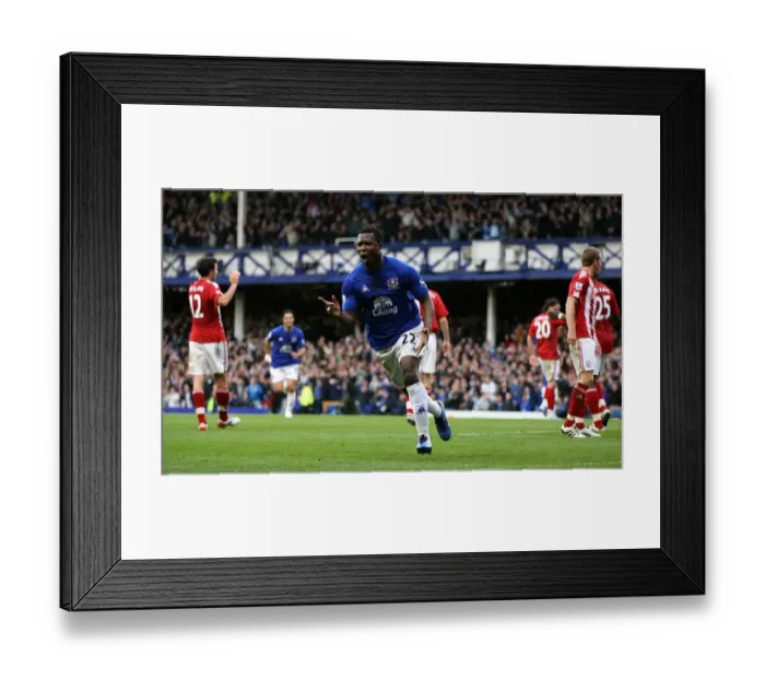 Framed Print : Yakubu's Opener: Everton FC vs Stoke City, Barclays Premier League, Goodison Park (30 October 2010) Framed Print : Yakubu's Opener: Everton FC vs Stoke City, Barclays Premier League, Goodison Park (30 October 2010)