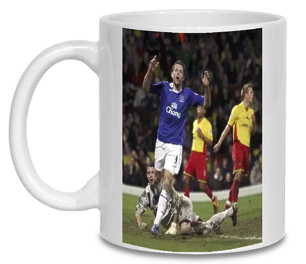 Watford v Everton - James Beattie after missing a easy chance