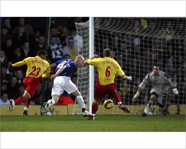 Watford v Everton - Andrew Johnson goes down in the penalty area to win a penalty