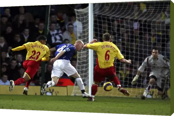 Watford v Everton - Andrew Johnson goes down in the penalty area to win a penalty