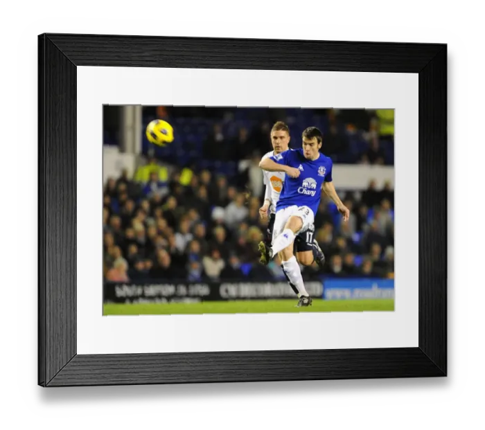 Framed Print : Seamus Coleman vs Ivan Klasnic: A Battle at Goodison Park, Everton vs Bolton Wanderers, Barclays Premier League (10 November 2010) Framed Print : Seamus Coleman vs Ivan Klasnic: A Battle at Goodison Park, Everton vs Bolton Wanderers, Barclays Premier League (10 November 2010)