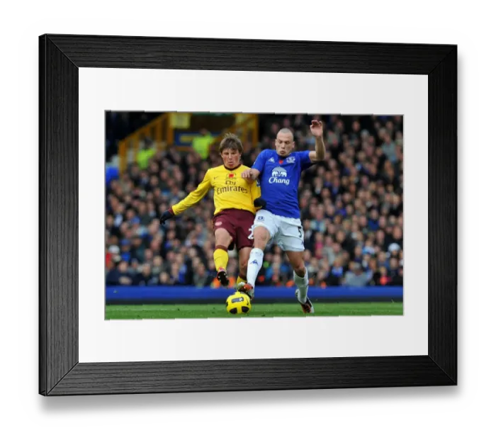 Framed Print : Intense Rivalry: Heitinga vs. Arshavin at Goodison Park - Everton vs. Arsenal, Premier League Framed Print : Intense Rivalry: Heitinga vs. Arshavin at Goodison Park - Everton vs. Arsenal, Premier League