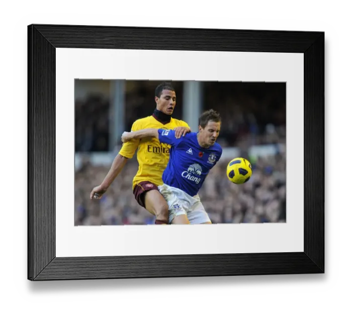 Framed Print : Jagielka vs Chamakh: A Battle at Goodison Park - Everton vs Arsenal, Barclays Premier League (14 November 2010)