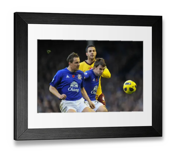 Framed Print : Jagielka and Coleman vs. Fabregas: A Battle for the Ball at Goodison Park - Everton vs. Arsenal (Barclays Premier League, November 2010) Framed Print : Jagielka and Coleman vs. Fabregas: A Battle for the Ball at Goodison Park - Everton vs. Arsenal (Barclays Premier League, November 2010)