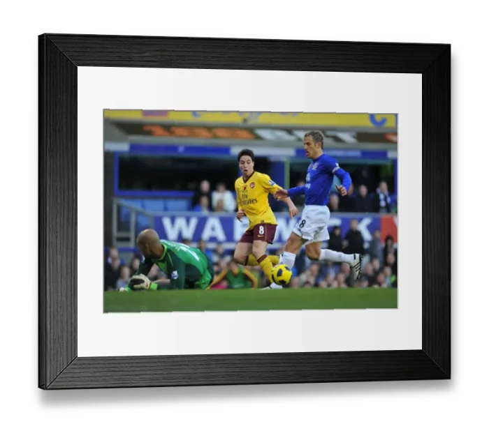 Framed Print : Tim Howard's Stunning Save from Samir Nasri: Everton vs Arsenal (BPL 2010) Framed Print : Tim Howard's Stunning Save from Samir Nasri: Everton vs Arsenal (BPL 2010)