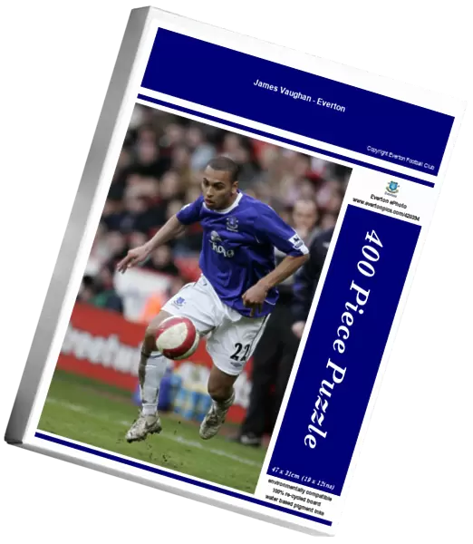 James Vaughan - Everton