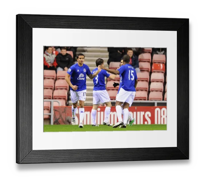 Framed Print : Tim Cahill's Stunner: Everton's Opening Goal vs. Sunderland (Nov 2010, Barclays Premier League) Framed Print : Tim Cahill's Stunner: Everton's Opening Goal vs. Sunderland (Nov 2010, Barclays Premier League)