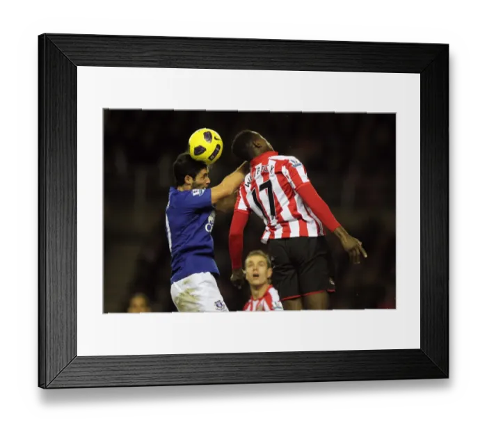 Framed Print : Soccer - Barclays Premier League - Sunderland v Everton - Stadium Of Light Framed Print : Soccer - Barclays Premier League - Sunderland v Everton - Stadium Of Light