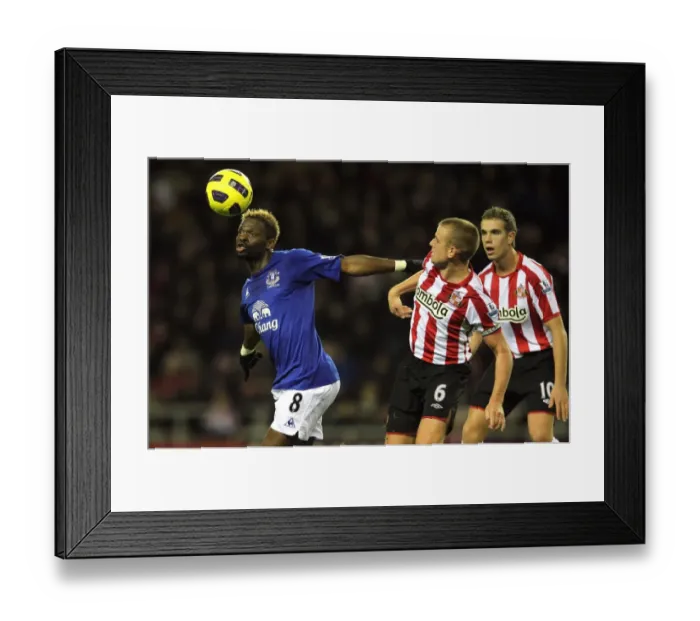 Framed Print : Determined Victory: Louis Saha Outmuscles Lee Cattermole in Everton's Triumph over Sunderland (November 2010, Barclays Premier League) Framed Print : Determined Victory: Louis Saha Outmuscles Lee Cattermole in Everton's Triumph over Sunderland (November 2010, Barclays Premier League)