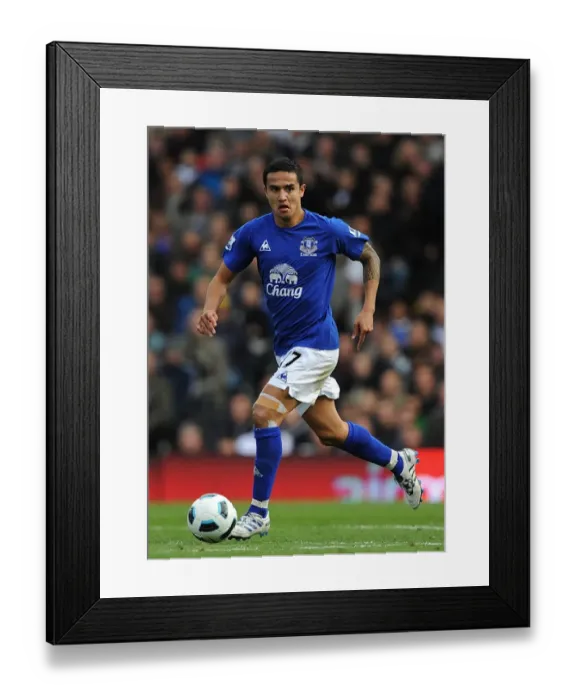 Framed Print : Tim Cahill's Thunderbolt: Everton's Triumph Over Fulham, Barclays Premier League (September 25, 2010)