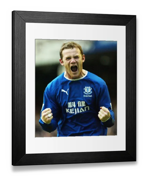Framed Print : Soccer - Barclaycard Premiership Match - Everton v Portsmouth - Goodison Park, Liverpool Framed Print : Soccer - Barclaycard Premiership Match - Everton v Portsmouth - Goodison Park, Liverpool