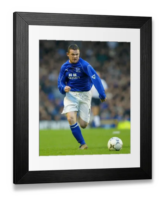 Framed Print : Everton v Bolton Wanderers Framed Print : Everton v Bolton Wanderers