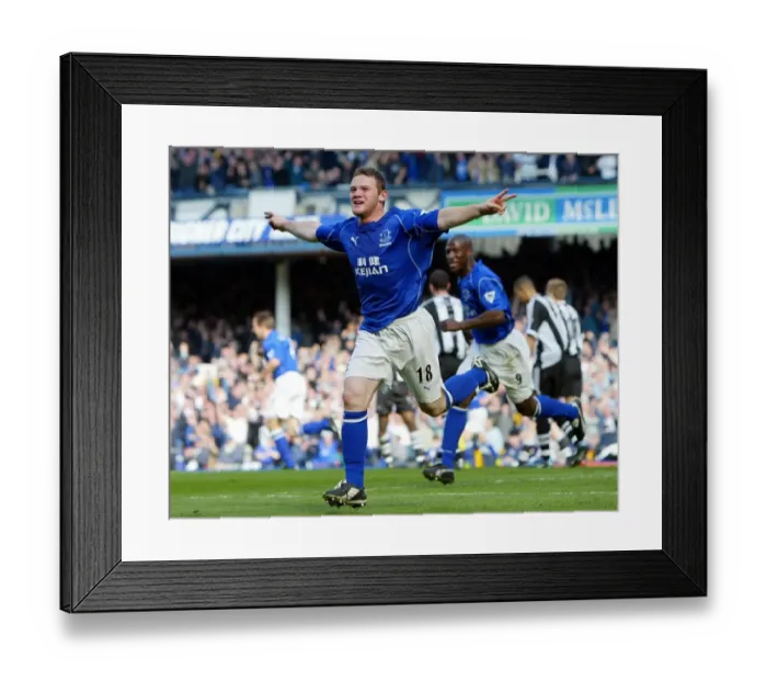 Framed Print : Everton v Newcastle United