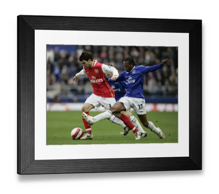 Framed Print : Football - Everton v Arsenal FA Barclays Premiership - Goodison Park - 18  /  3  /  07 Arsenals Cesc Fabregas and Evertons Manuel Fernandes Mandatory Credit: Action Images  /  Ryan Browne Livepic