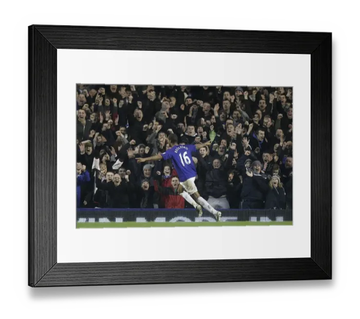 Framed Print : Jermaine Beckford's Game-Winning Goal: Everton FC vs Blackpool (Premier League, Goodison Park - 05 February 2011)