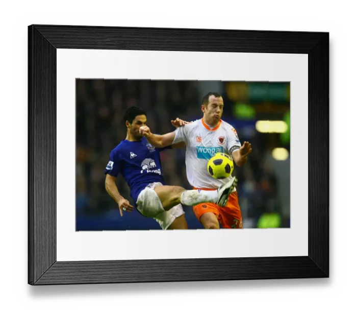 Framed Print : Mikel Arteta vs. Charlie Adam: A Battle for Control in the Everton vs. Blackpool Premier League Clash at Goodison Park (05 February 2011) Framed Print : Mikel Arteta vs. Charlie Adam: A Battle for Control in the Everton vs. Blackpool Premier League Clash at Goodison Park (05 February 2011)