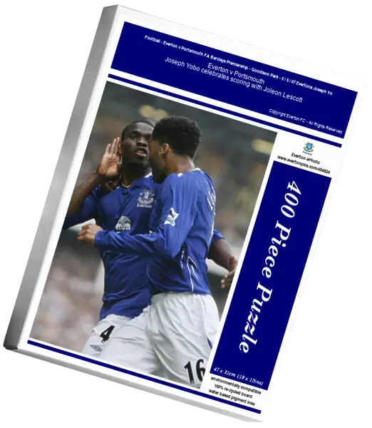 Football - Everton v Portsmouth FA Barclays Premiership - Goodison Park - 5  /  5  /  07 Evertons Joseph Yo