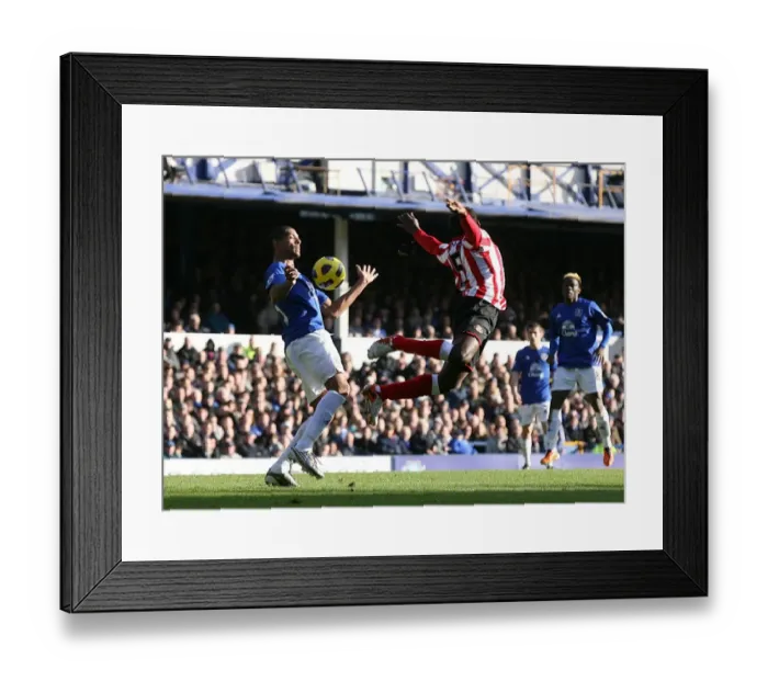 Framed Print : A Battle for Supremacy: Jermaine Beckford vs John Mensah - Everton vs Sunderland (Barclays Premier League, 26 February 2011) Framed Print : A Battle for Supremacy: Jermaine Beckford vs John Mensah - Everton vs Sunderland (Barclays Premier League, 26 February 2011)