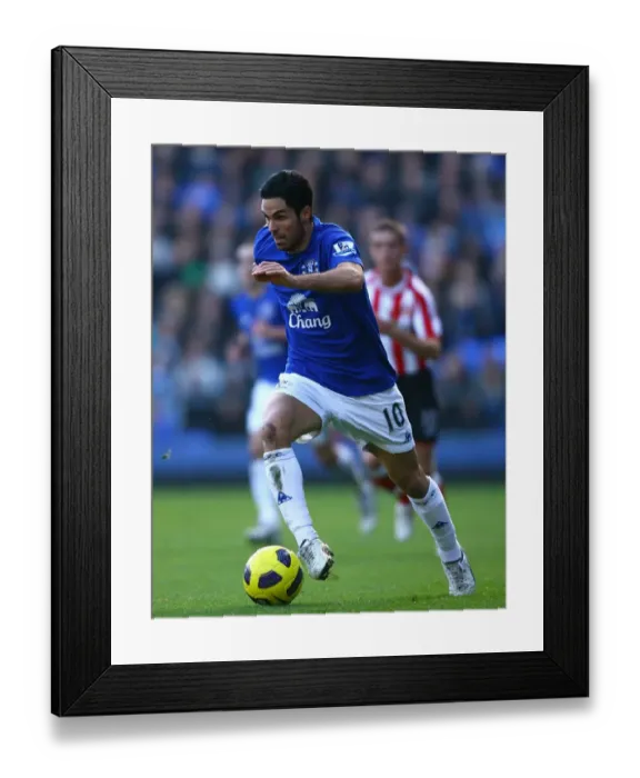 Framed Print : Mikel Arteta Leads Everton at Goodison Park: Everton v Sunderland, Barclays Premier League (26 February 2011) Framed Print : Mikel Arteta Leads Everton at Goodison Park: Everton v Sunderland, Barclays Premier League (26 February 2011)