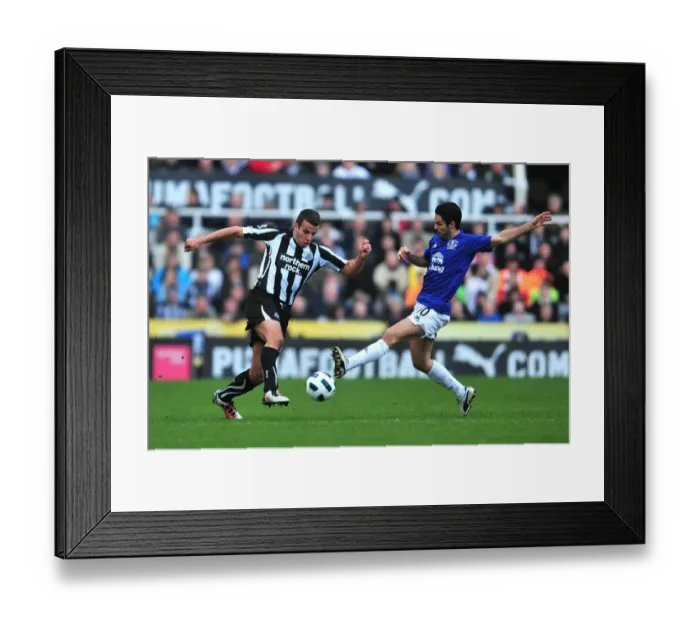 Framed Print : Barclays Premier League - Newcastle United v Everton - St James Park Framed Print : Barclays Premier League - Newcastle United v Everton - St James Park