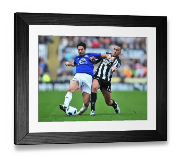 Framed Print : Moment of Tension: Simpson vs. Arteta - Premier League Showdown (2011) - Newcastle United vs. Everton Framed Print : Moment of Tension: Simpson vs. Arteta - Premier League Showdown (2011) - Newcastle United vs. Everton