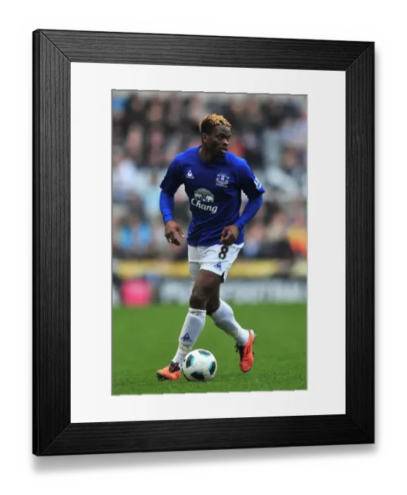 Framed Print : Louis Saha's Thrilling Goal: Everton's Victory Over Newcastle United, Barclays Premier League (05 March 2011)
