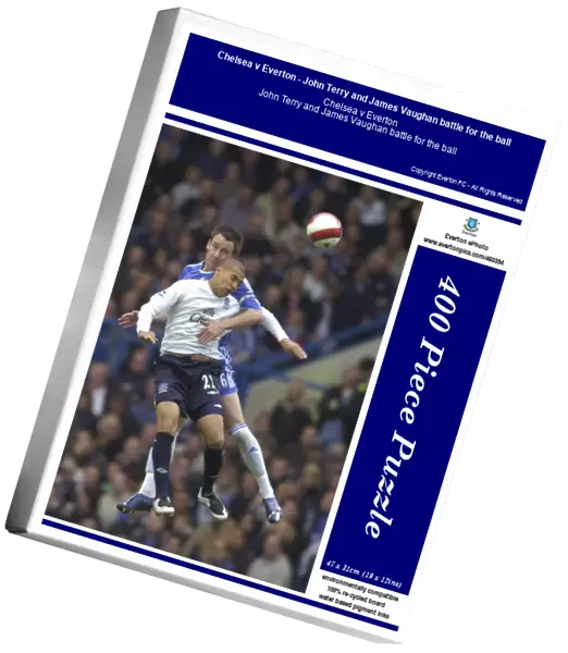Chelsea v Everton - John Terry and James Vaughan battle for the ball