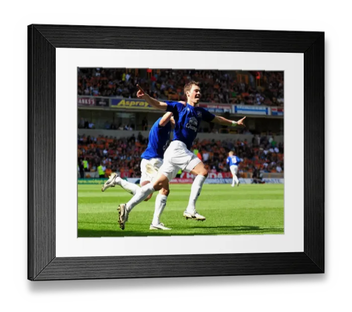 Framed Print : Everton's Triumph: Diniyar Bilyaletdinov Scores the Game-Winning Goal (09 April 2011) Framed Print : Everton's Triumph: Diniyar Bilyaletdinov Scores the Game-Winning Goal (09 April 2011)