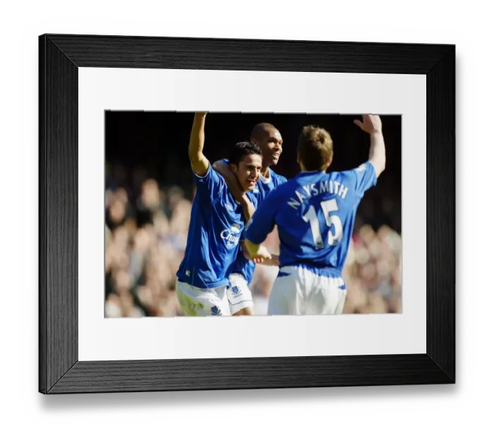 Framed Print : Everton v Crystal Palace 10 / 4 / 05 Framed Print : Everton v Crystal Palace 10 / 4 / 05