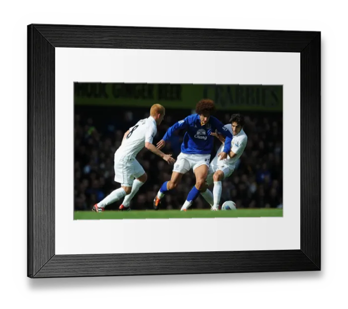 Framed Print : Battle at Goodison Park: Fellaini Caught in the Middle - Wigan's Watson and Jordi Gomez Pressure Everton's Marouane Fellaini (17 September 2011: Everton vs Wigan Athletic) Framed Print : Battle at Goodison Park: Fellaini Caught in the Middle - Wigan's Watson and Jordi Gomez Pressure Everton's Marouane Fellaini (17 September 2011: Everton vs Wigan Athletic)